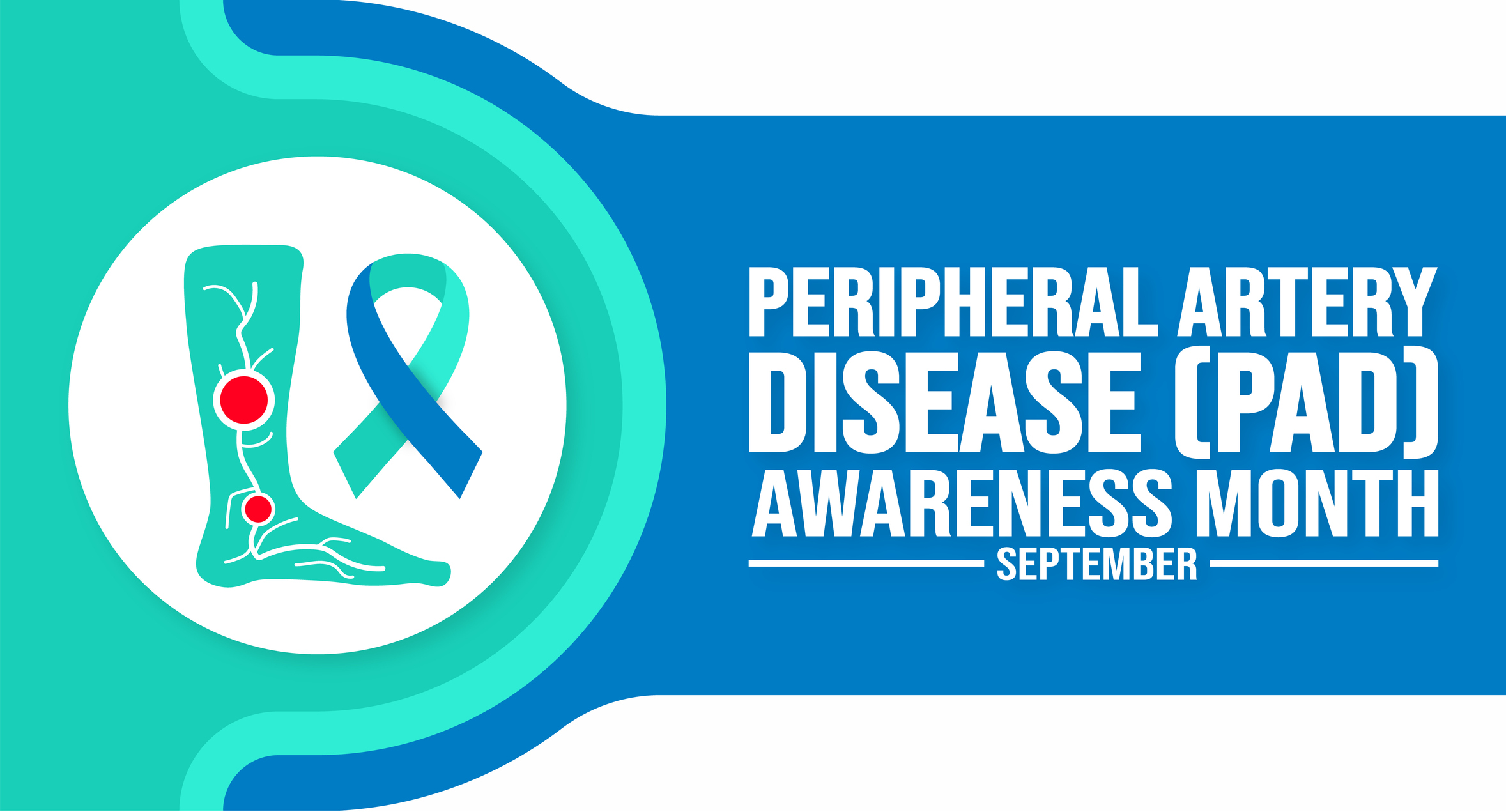 September is Peripheral Artery Disease PAD Awareness Month background template. Holiday concept. background, banner, placard, card, and poster design template with text inscription and standard color.
